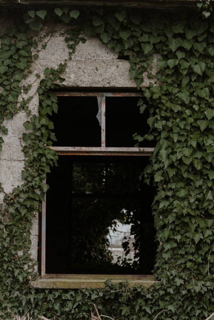 Kaputtes Fenster in einem der Lost Places in Niedersachsen