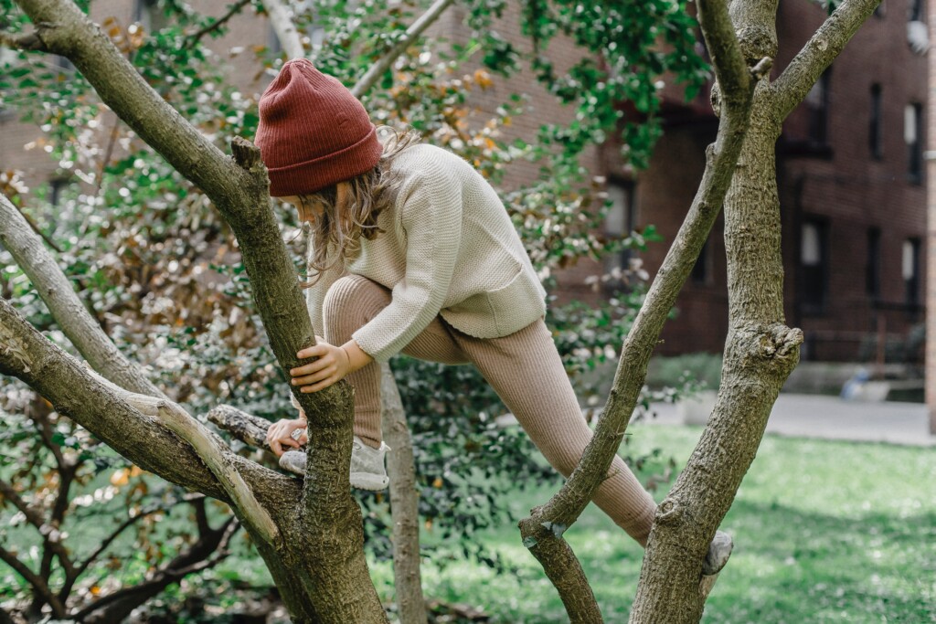 Kind klettert auf Baum und stärkt so sein Immunsystem