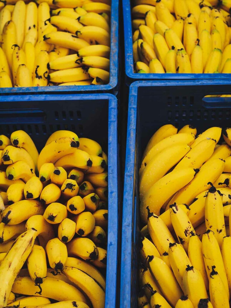 Mehrere Kisten mit Brainfood Bananen