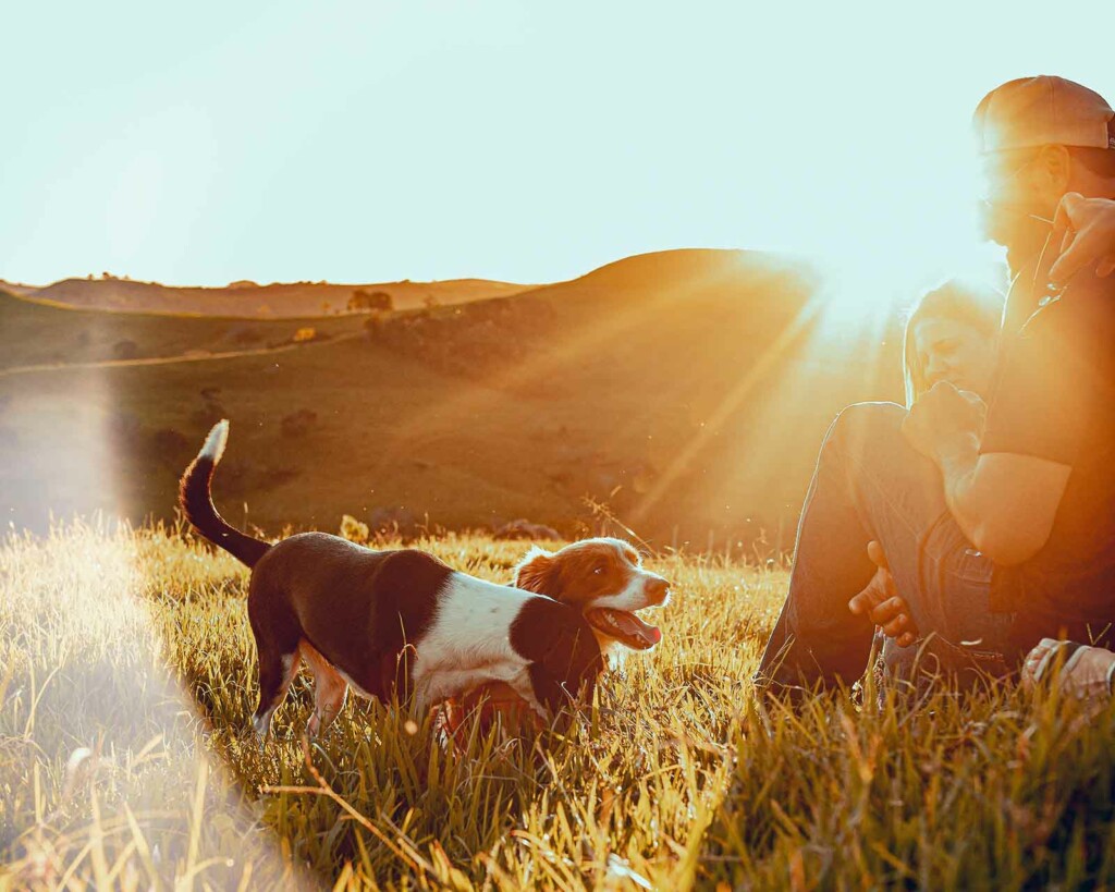 Sonnenlicht liefert zwei Menschen und zwei Hunden Brainfood